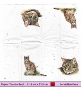 Farmfreunde Braune Katze - 1 Papier Taschentuch - Zwei verschiedene Motive
